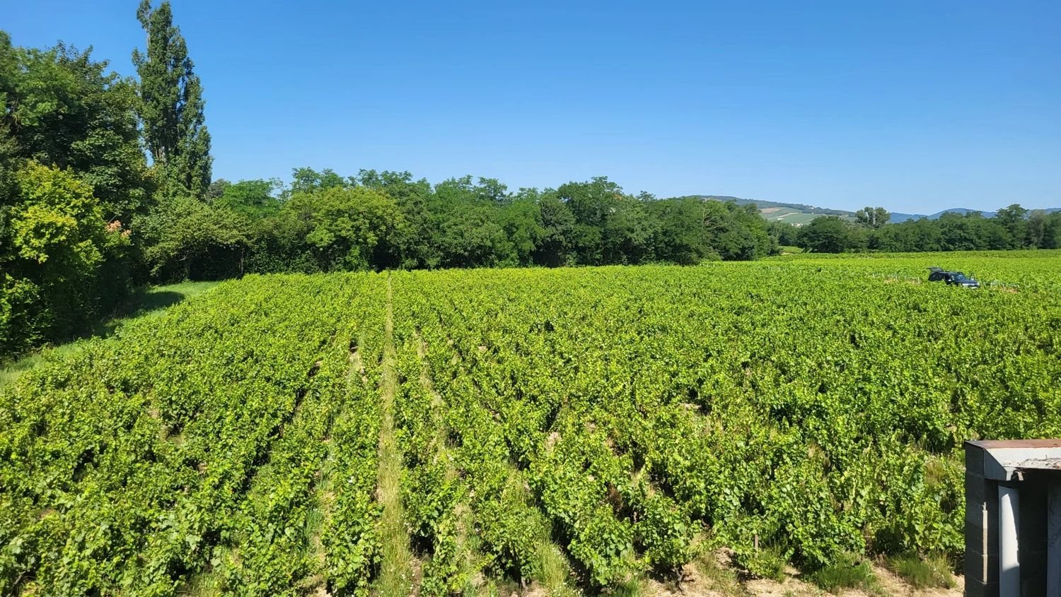 Maison à vendre, 160m², Romanèche-Thorins