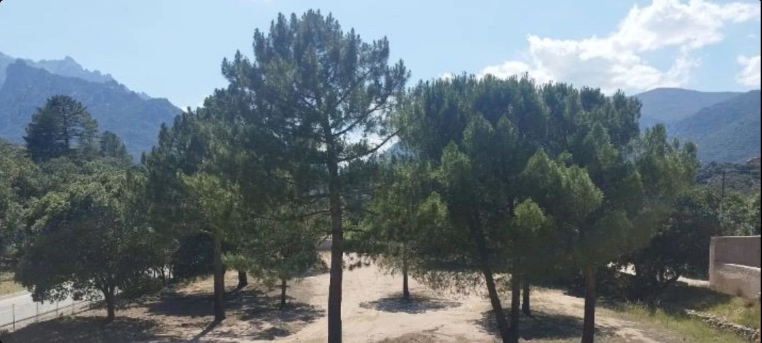 Maison à vendre, 1500m², Moltifao