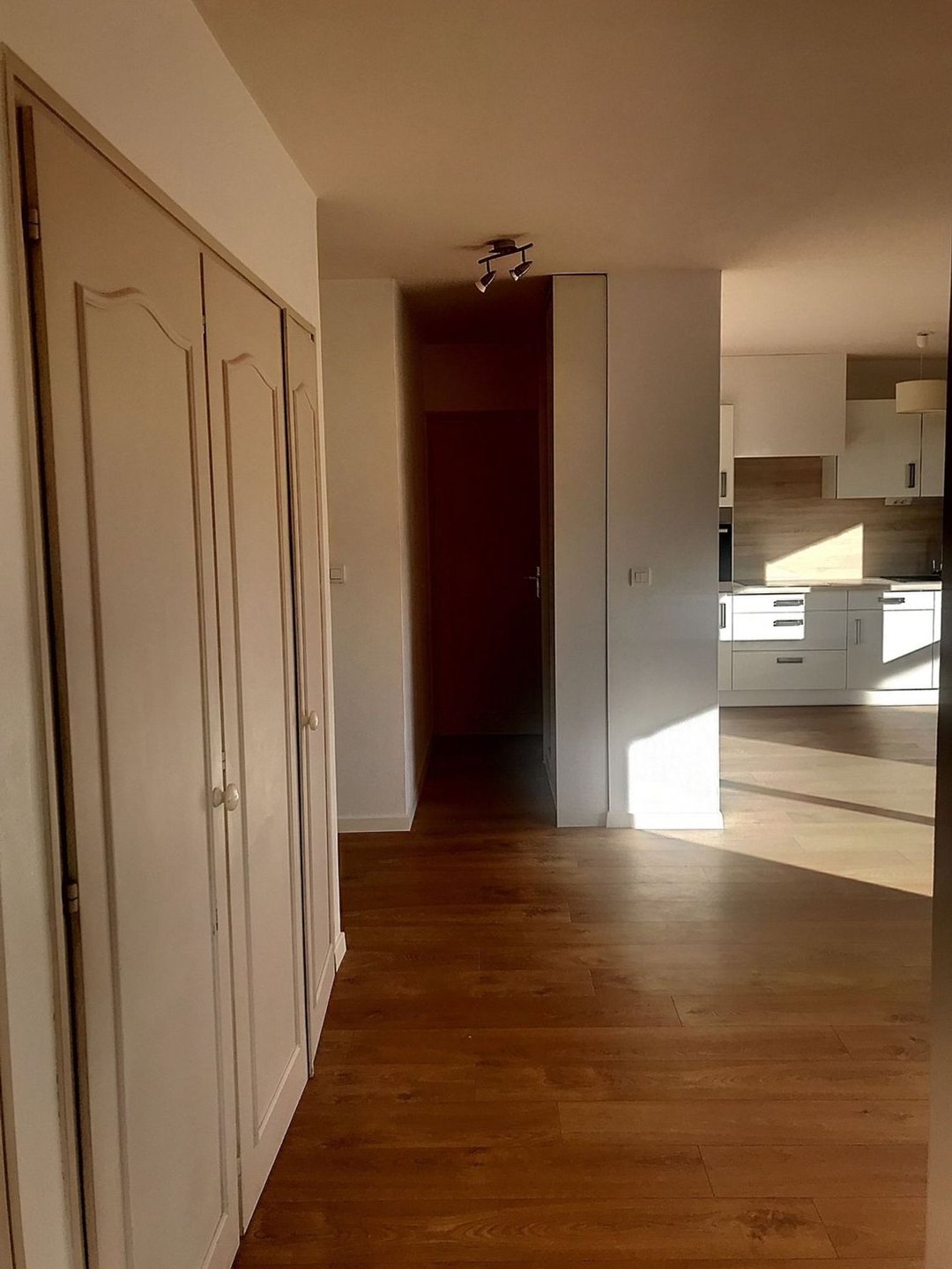 Appartement à louer, 48m², Ambilly