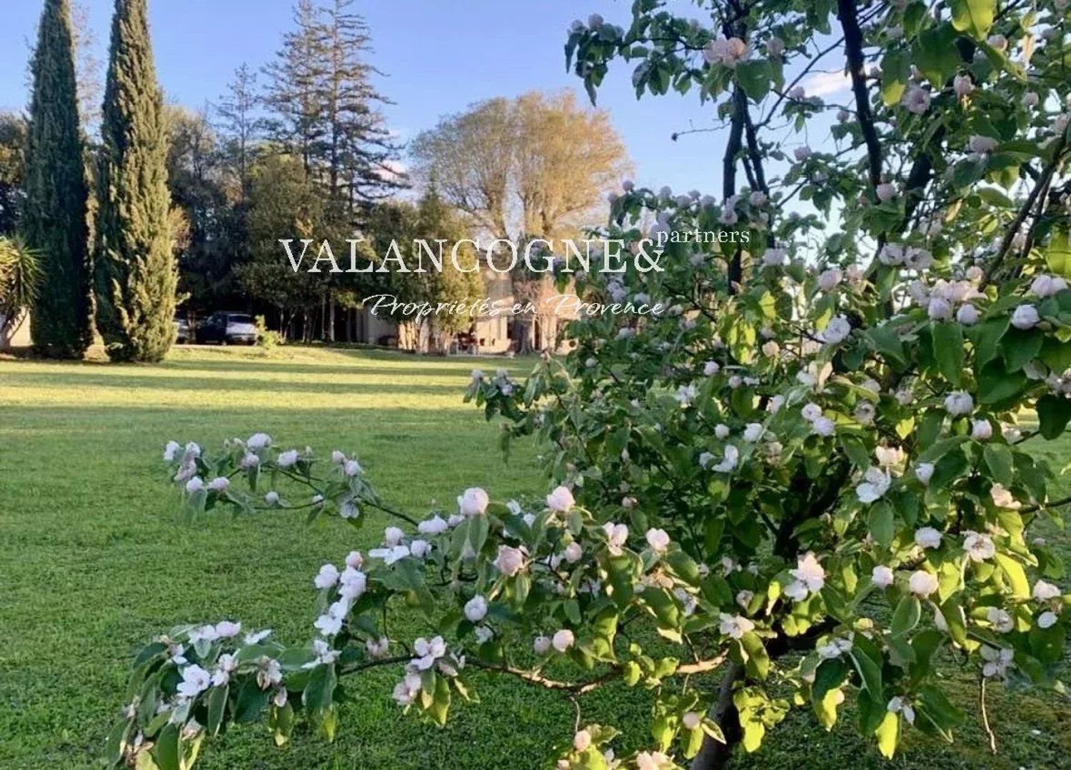 Maison à vendre, 180m², Arles
