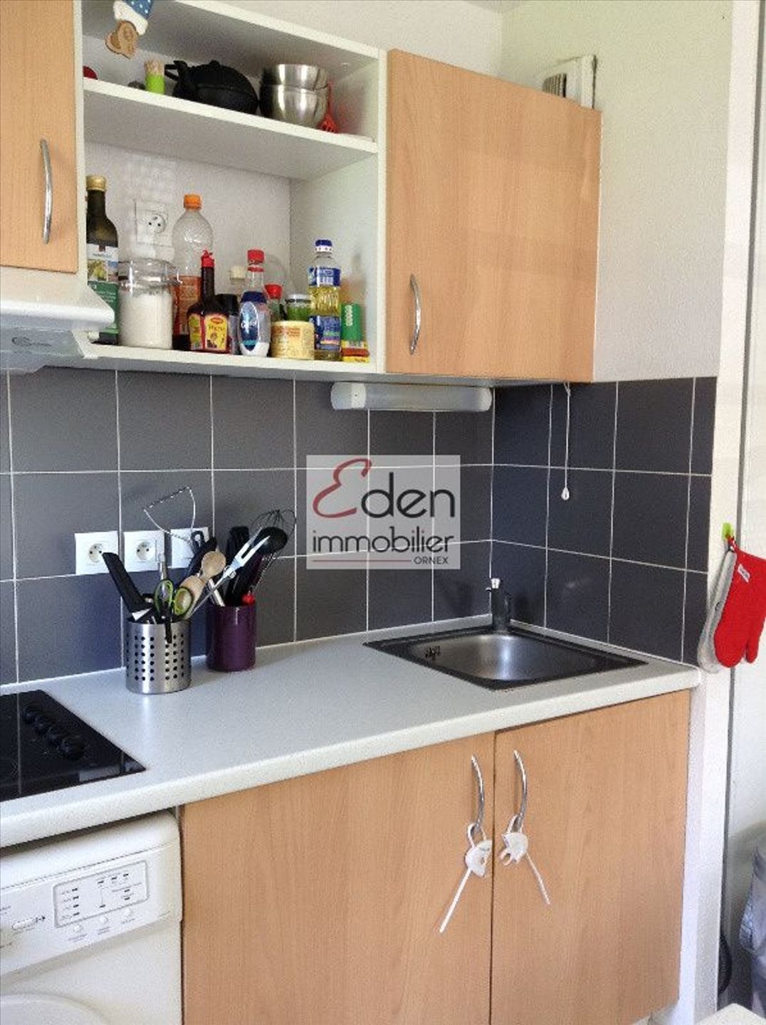Appartement à louer, 65m², Gex