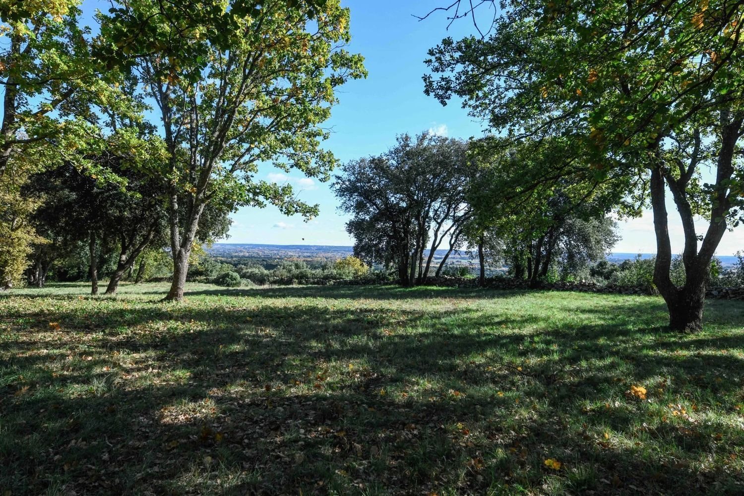 Maison à vendre, 207m², Uzès