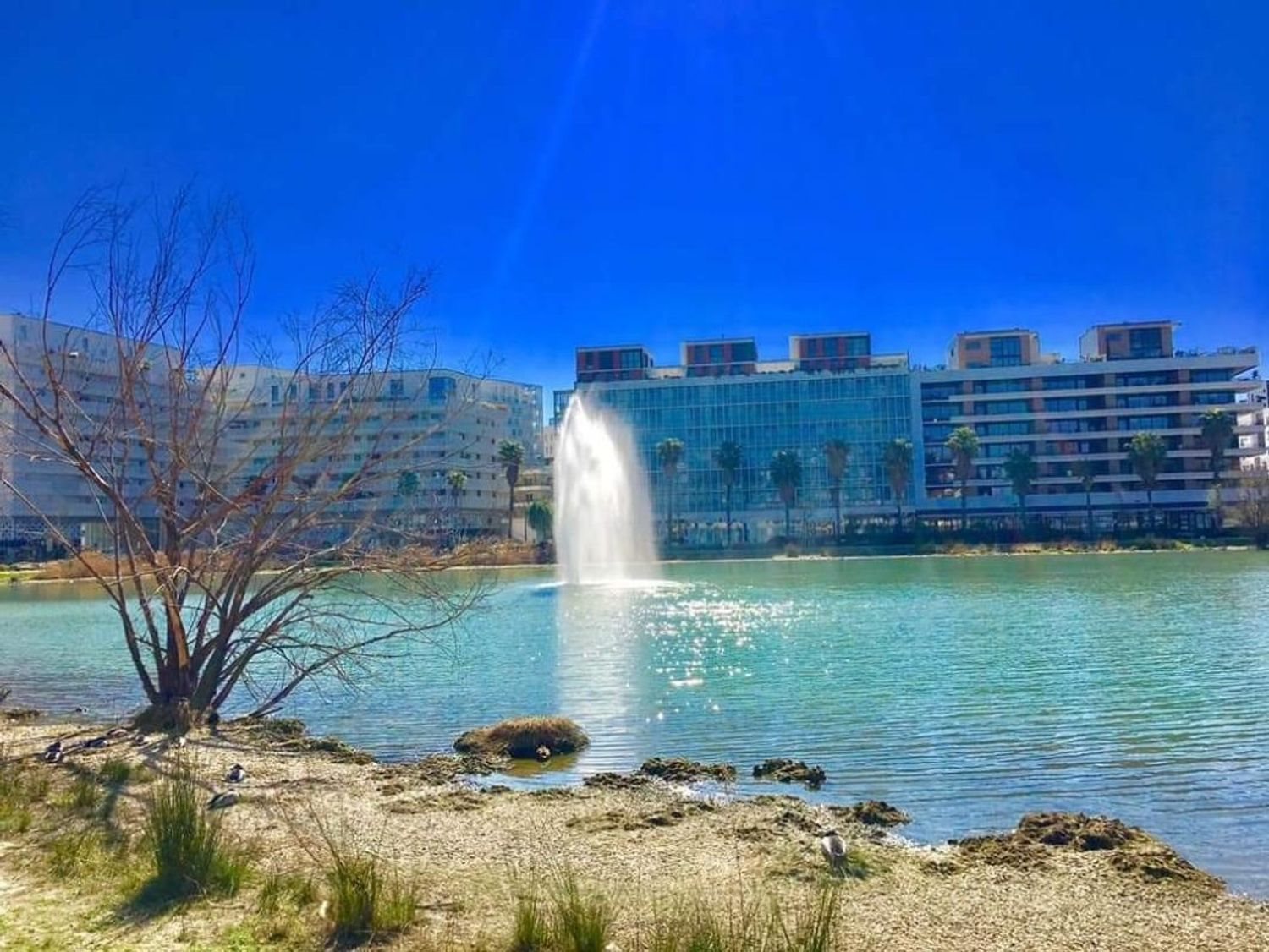 Appartement à vendre, 79m², Montpellier