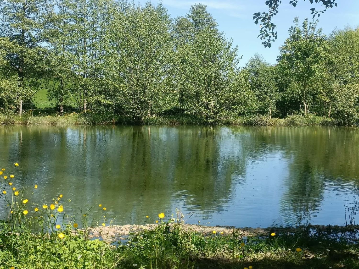 Maison à vendre, 113m², Apremont