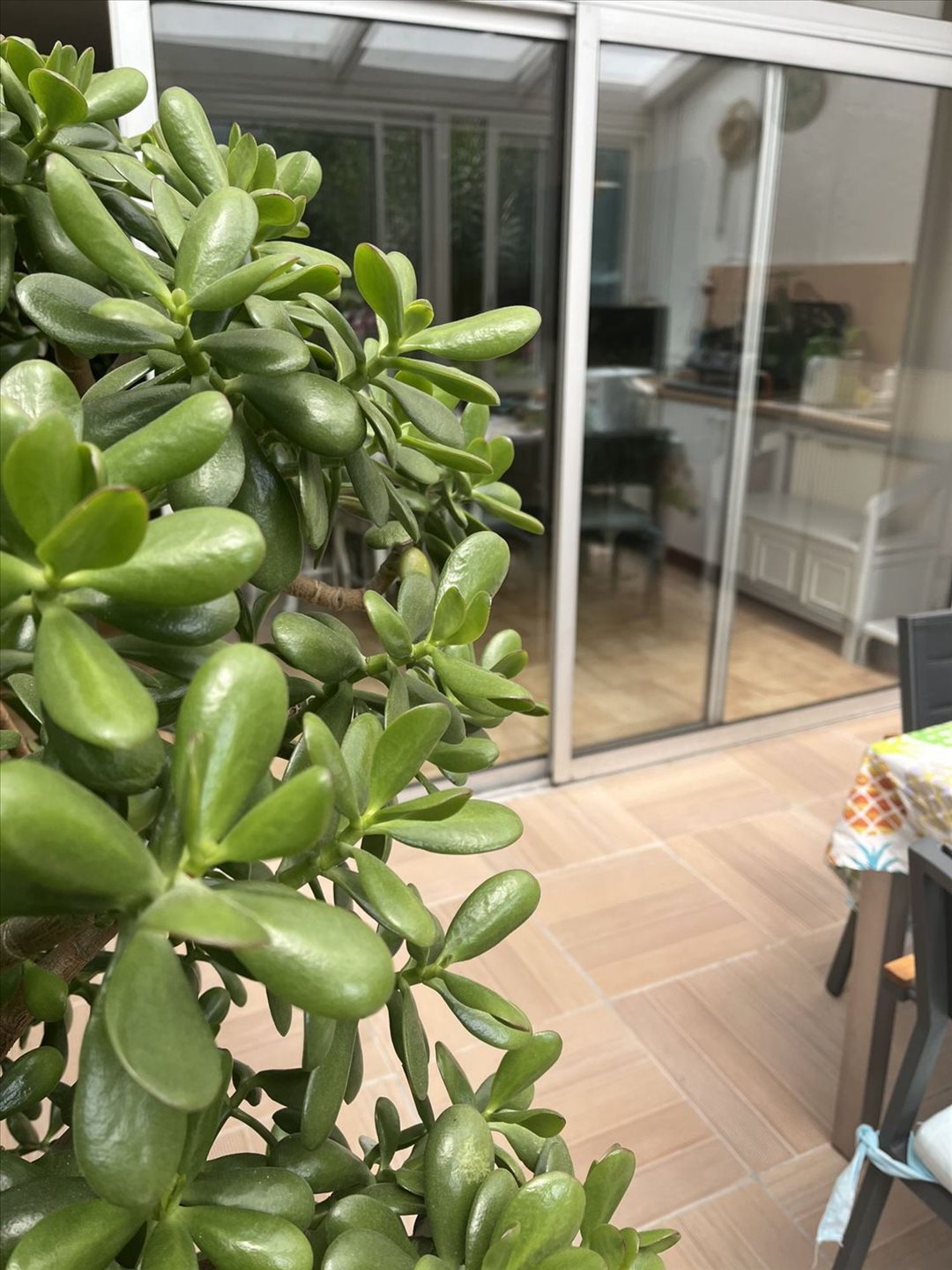 Maison à vendre, 93m², Périgueux