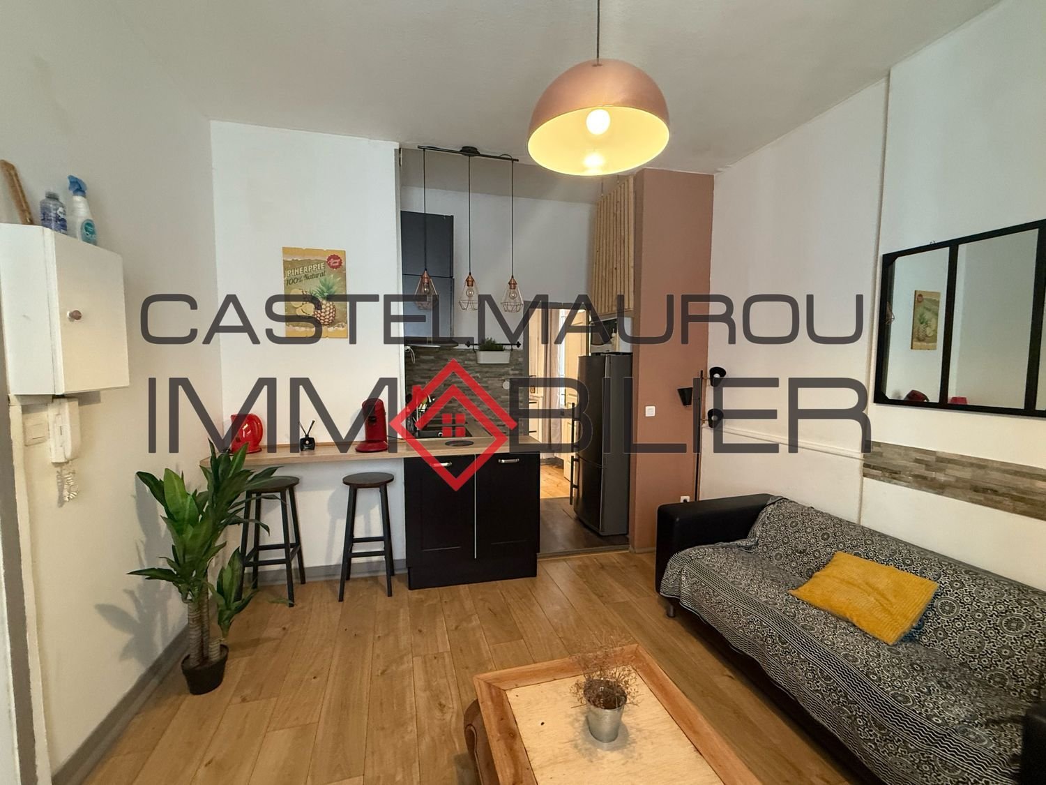 Appartement à vendre, 29m², Toulouse