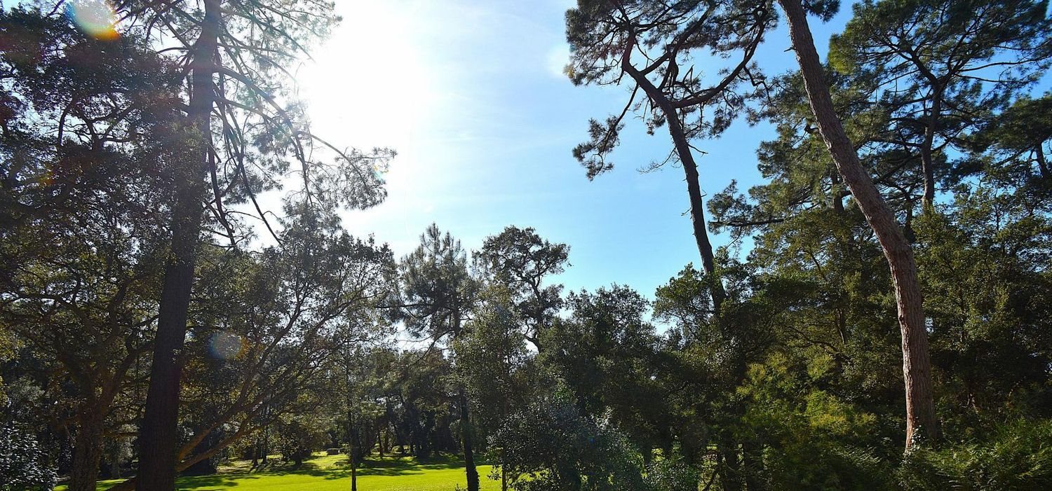 Appartement à vendre, 93m², Soorts-Hossegor