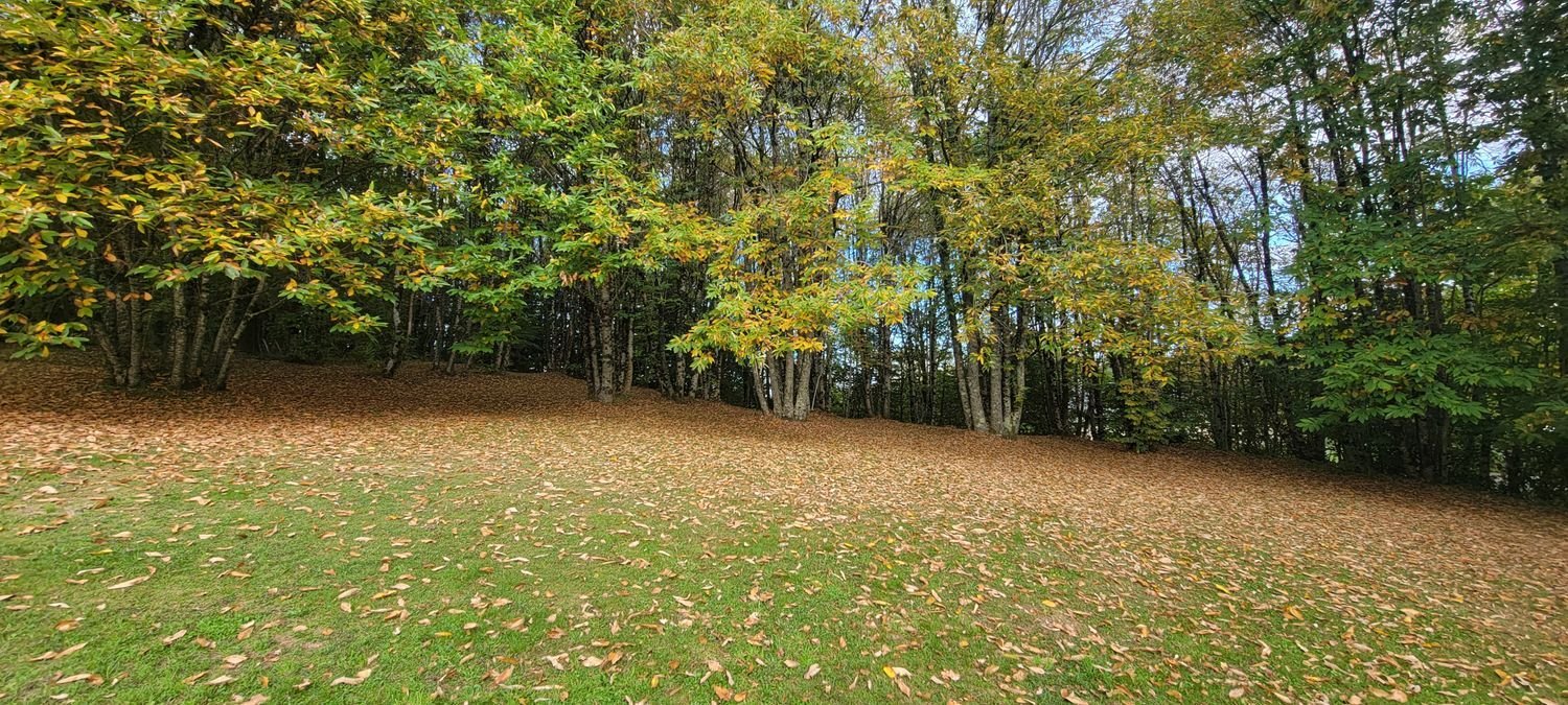 Maison à vendre, 104m², Beynat