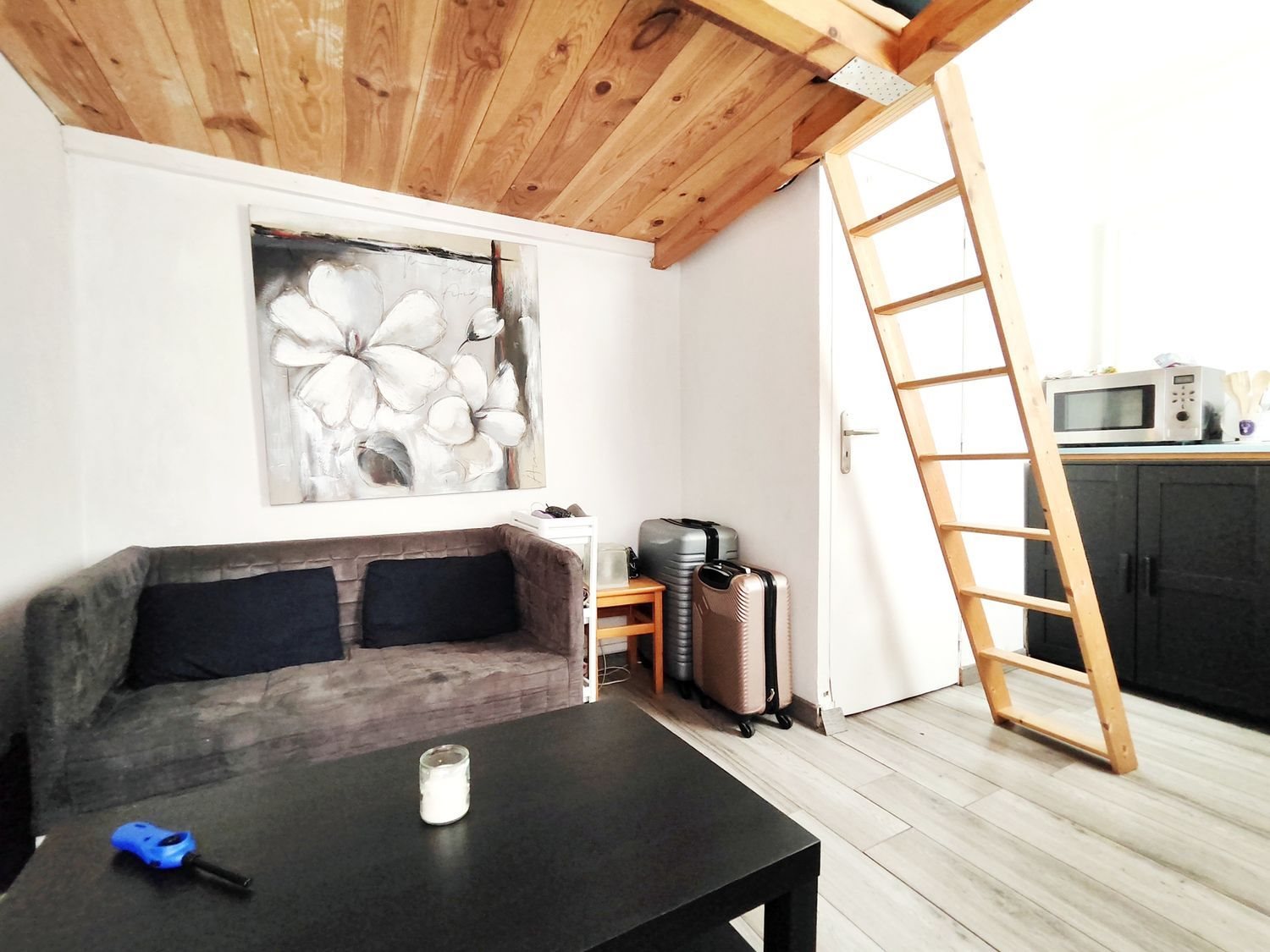 Appartement à vendre, 15m², Lille