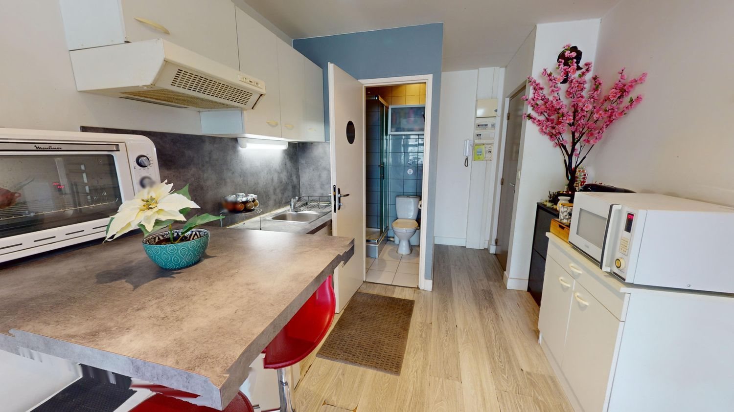 Appartement à vendre, 23m², Villeurbanne