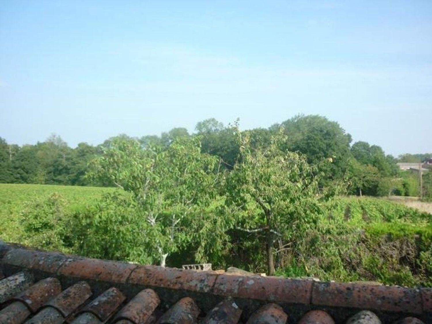 Maison à vendre, 100m², Château-Thébaud