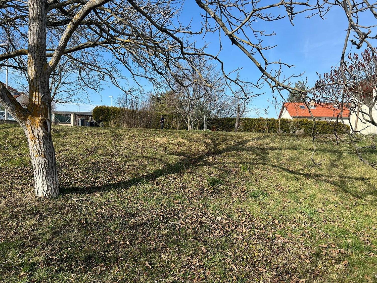 Maison à vendre, 216m², Pérignat-lès-Sarliève