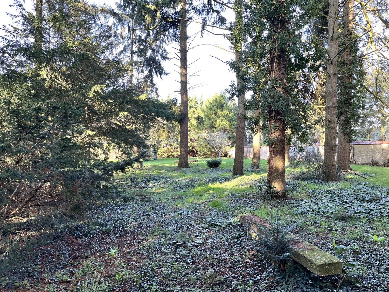 Maison à vendre, 209m², Nogent-sur-Vernisson