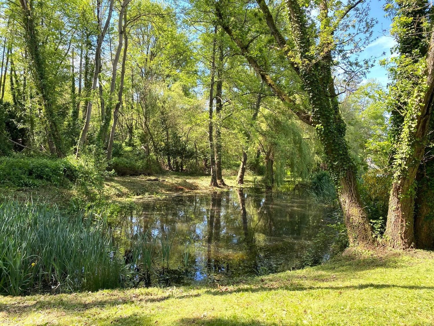 Maison à vendre, 29m², Les Bordes