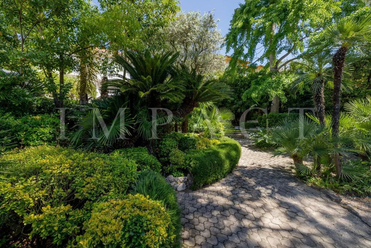 Maison à louer, 240m², Cannes