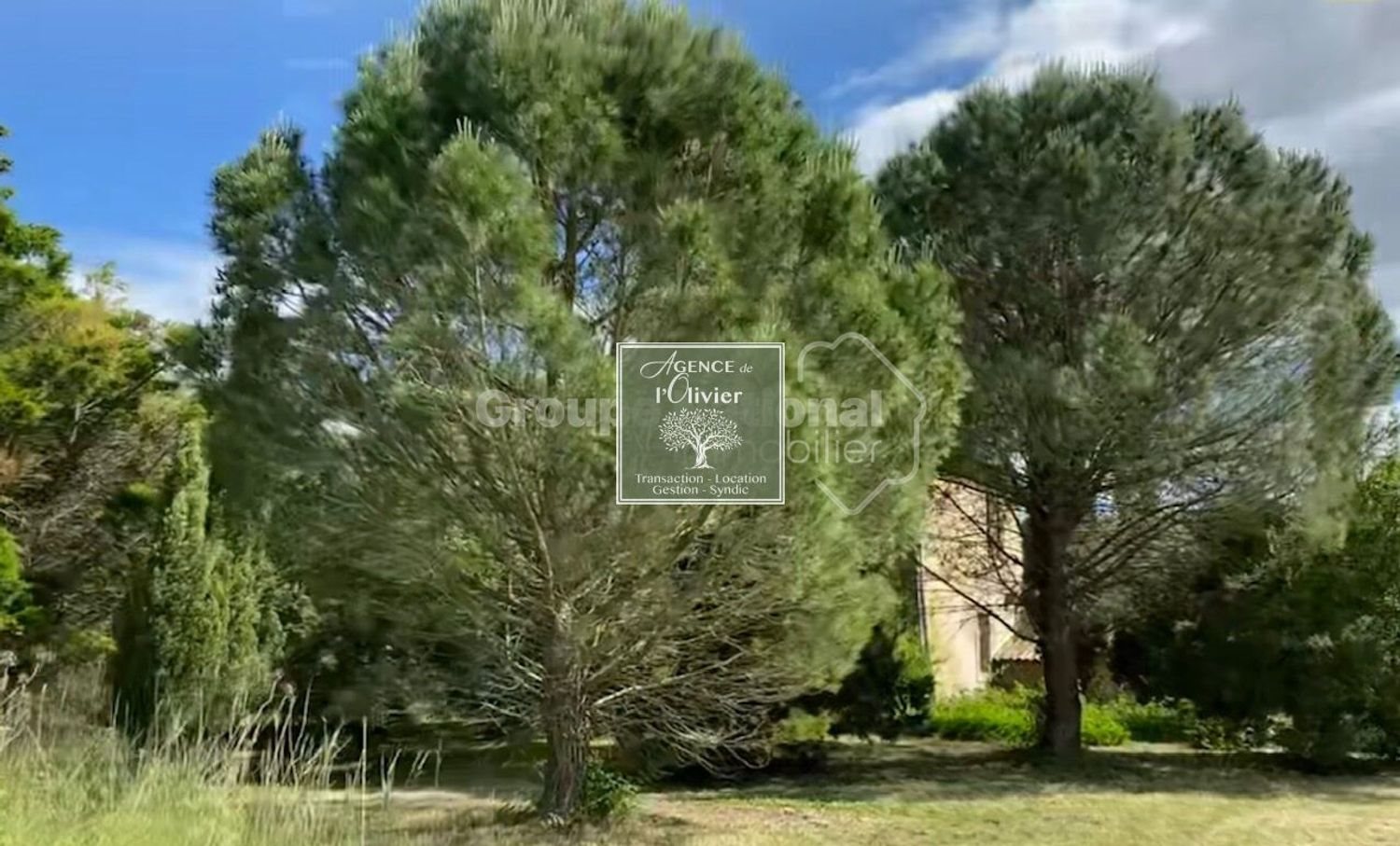 Maison à vendre, 1000m², Arles