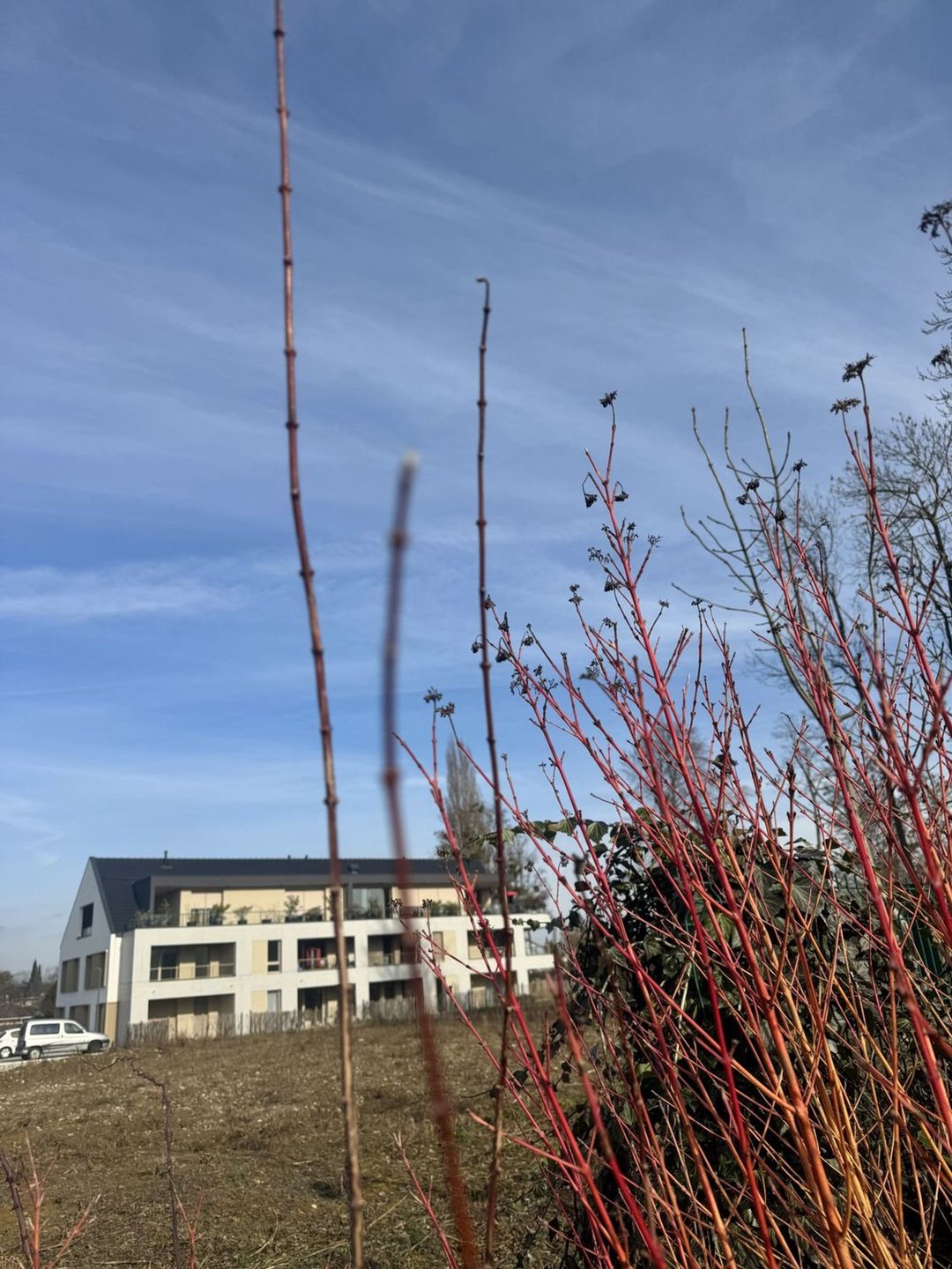 Appartement à vendre, 52m², Sausheim