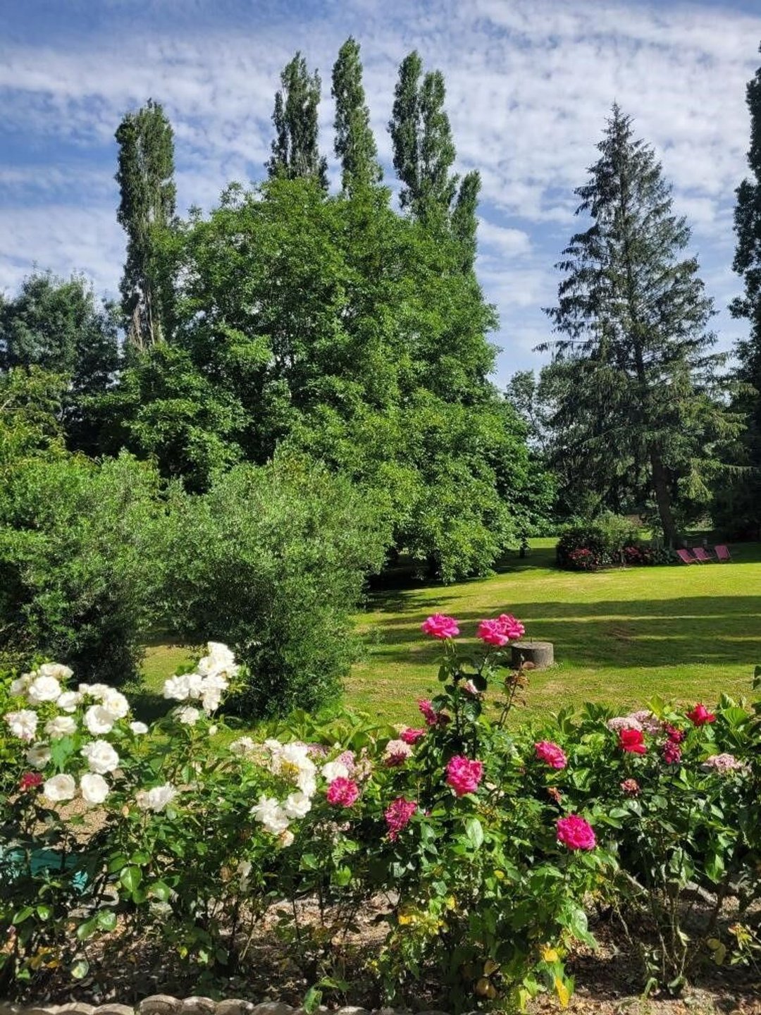 Maison à vendre, 221m², Montjean-sur-Loire