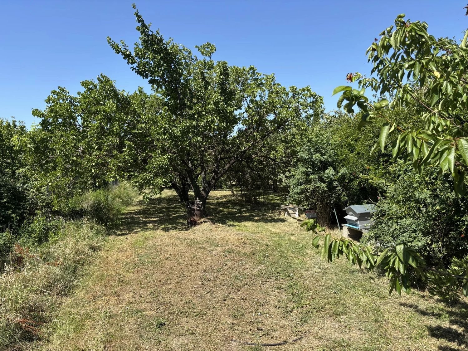 Maison à vendre, 11m², Carpentras