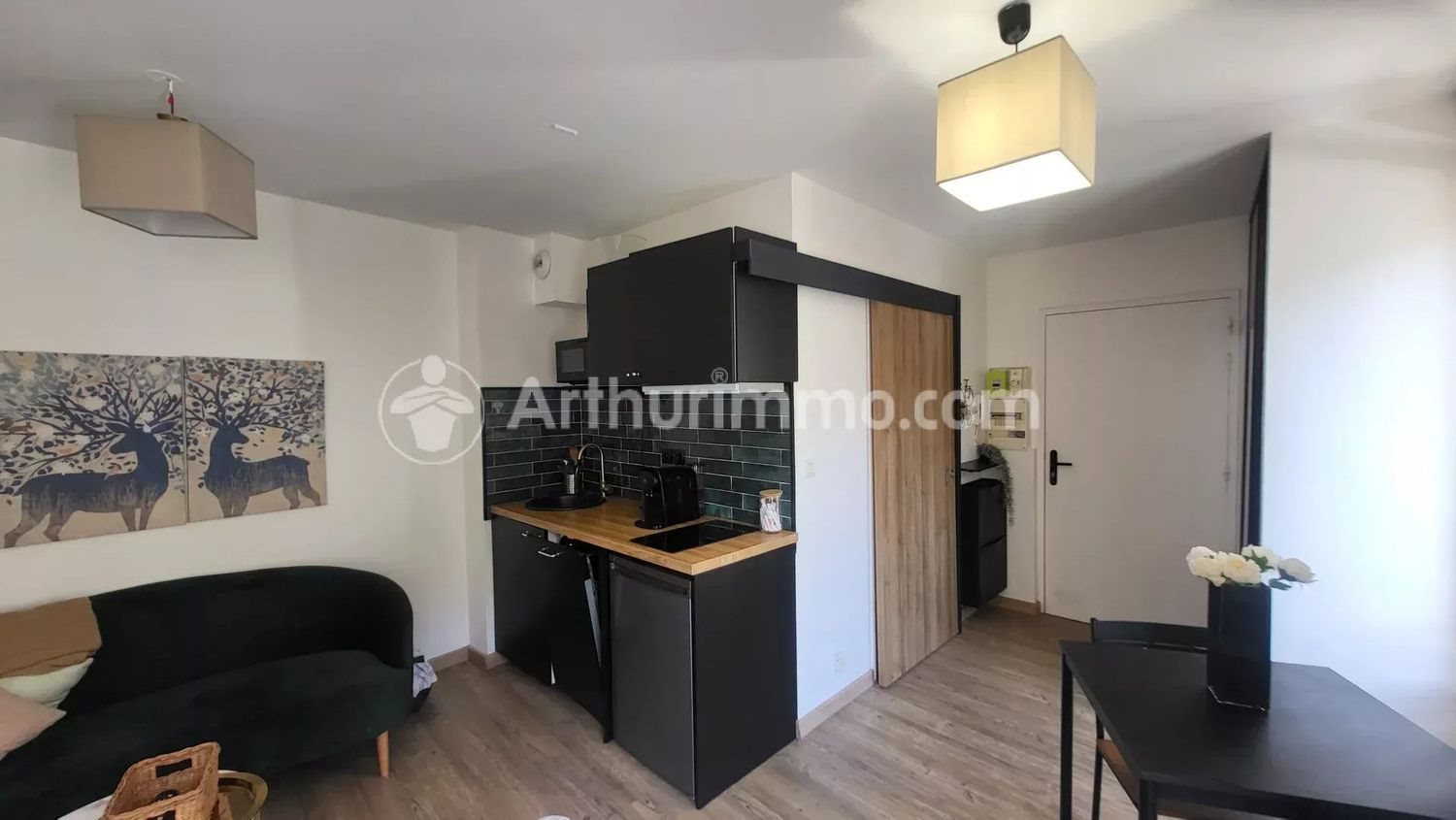 Appartement à vendre, 21m², Fronton