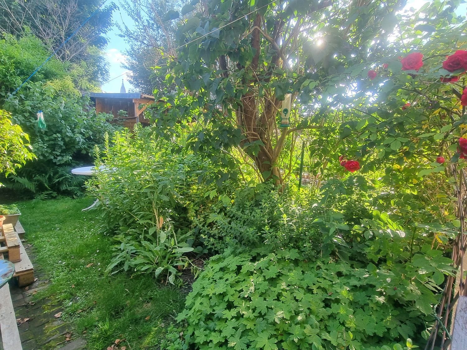 Maison à vendre, 55m², La Madeleine
