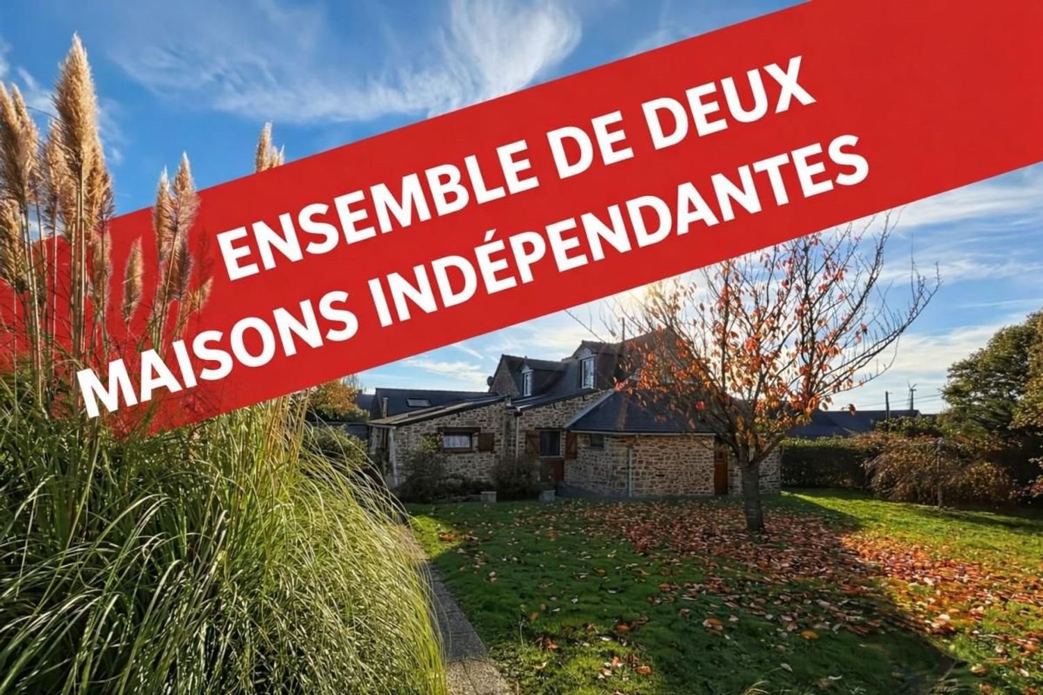 Maison à vendre, 262m², Châteaubriant