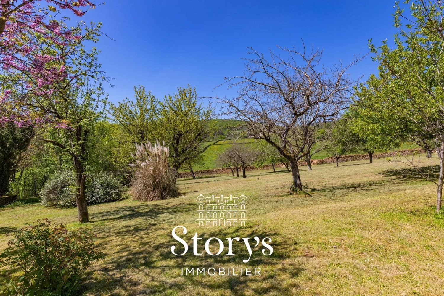 Maison à vendre, 300m², Cluny