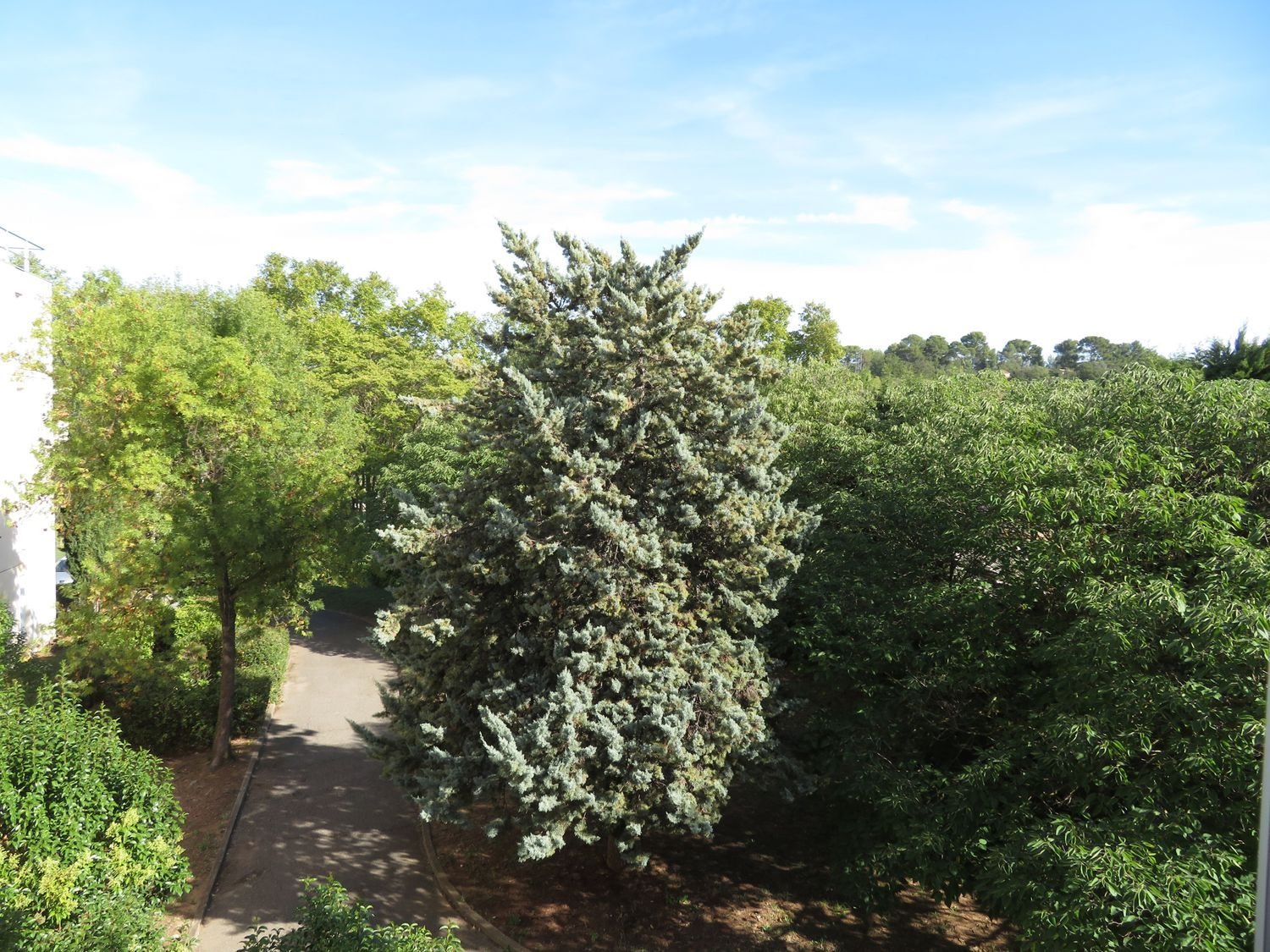 Appartement à louer, 29m², Aubagne