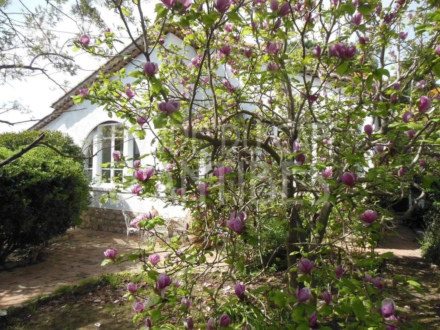 Maison à louer, 546m², Antibes