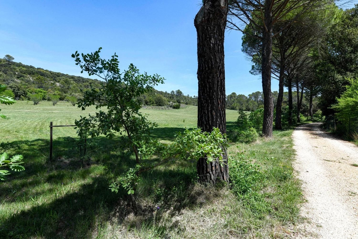 Maison à vendre, 556m², Aubais