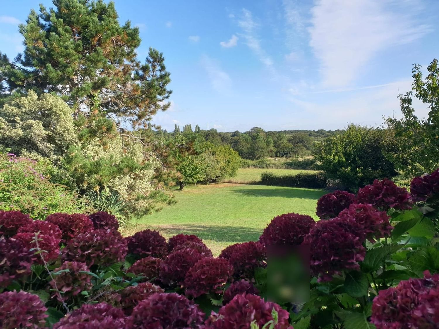Maison à vendre, 200m², Séné