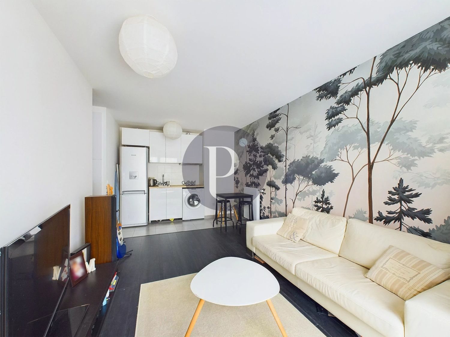 Appartement à vendre, 37m², Châtenay-Malabry