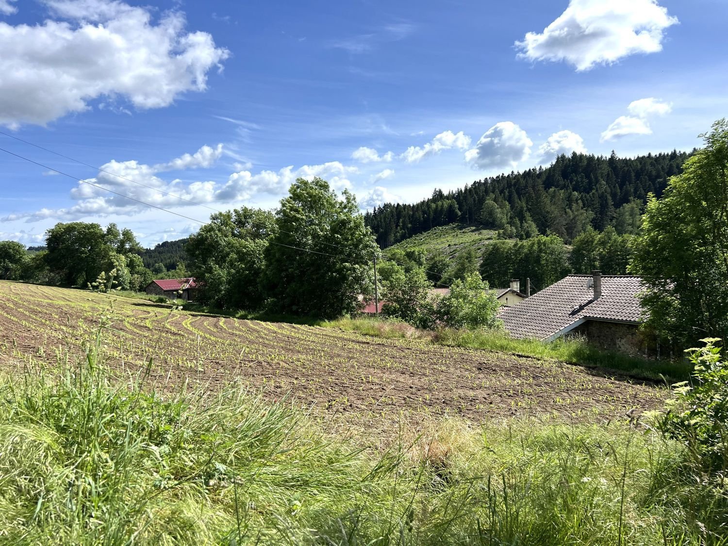 Maison à vendre, 281m², Allègre