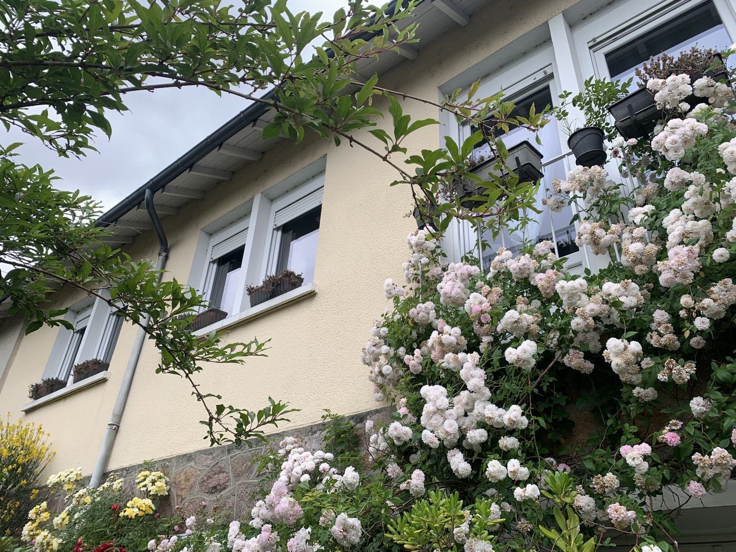 Maison à vendre, 110m², Limoges