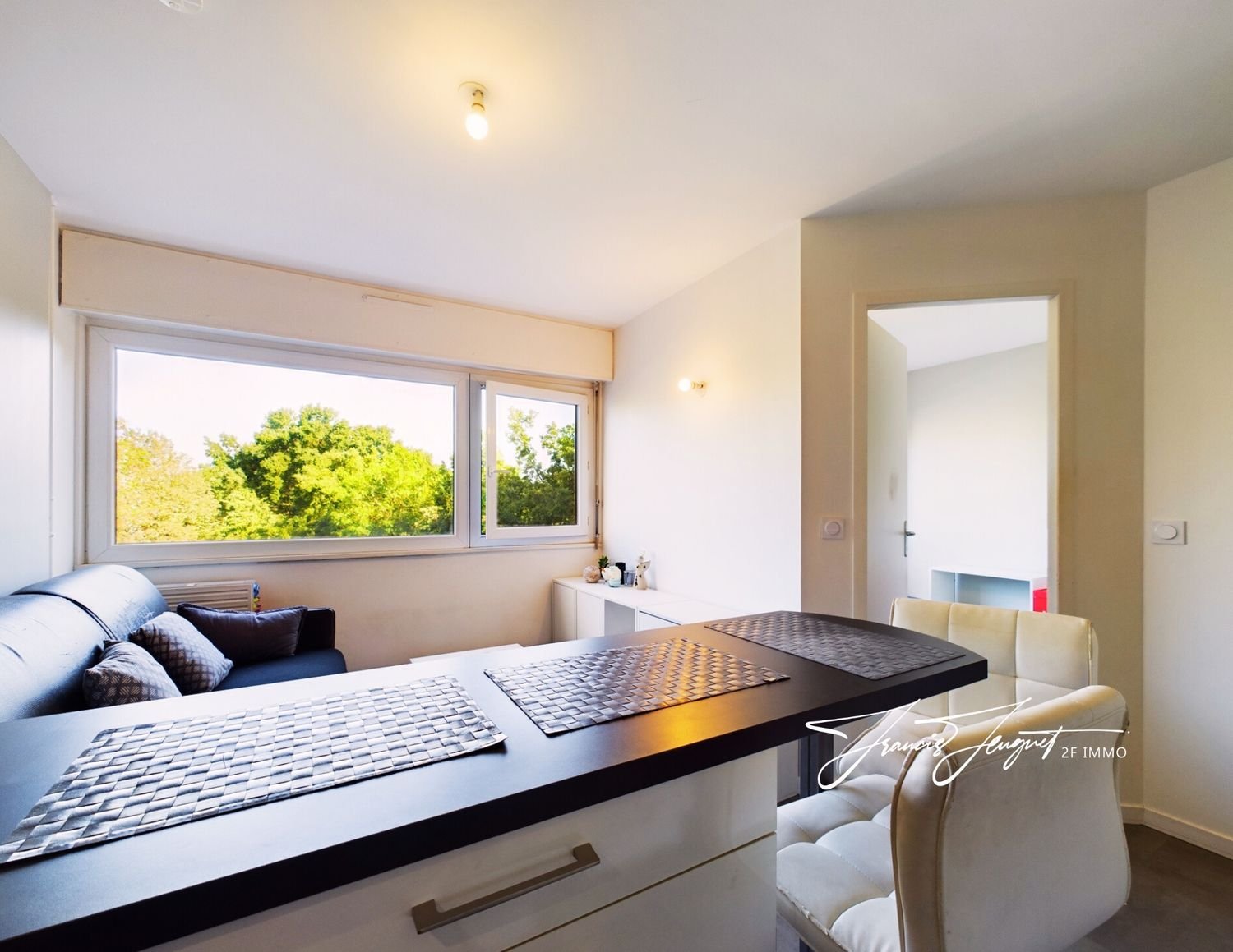 Appartement à vendre, 26m², Annecy