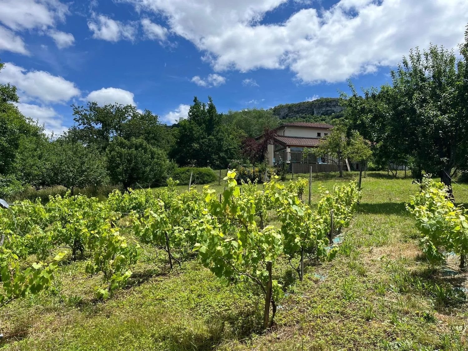 Maison à vendre, 130m², Le Mas-d'Azil
