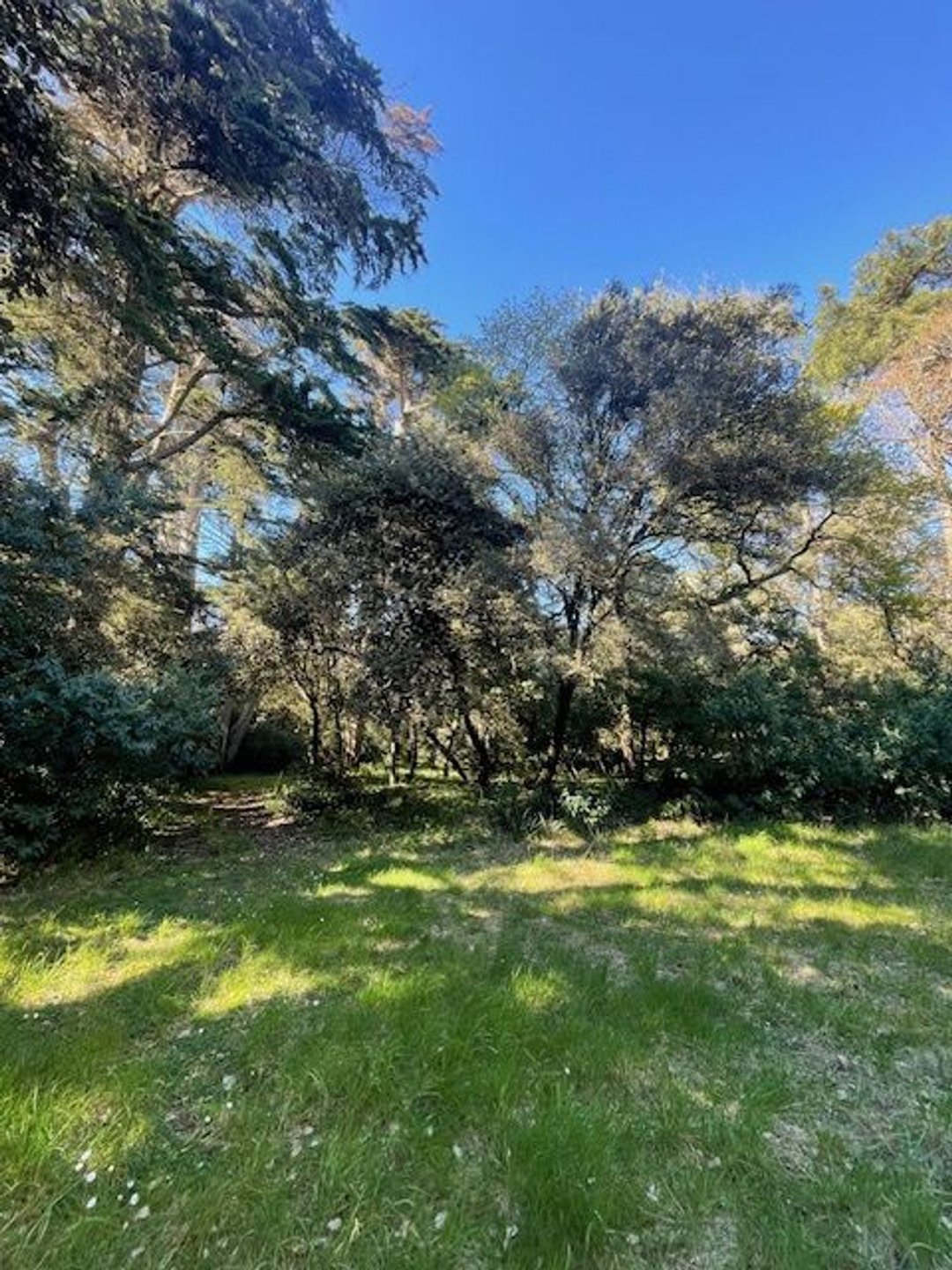 Maison à vendre, 200m², Noirmoutier-en-l'Île