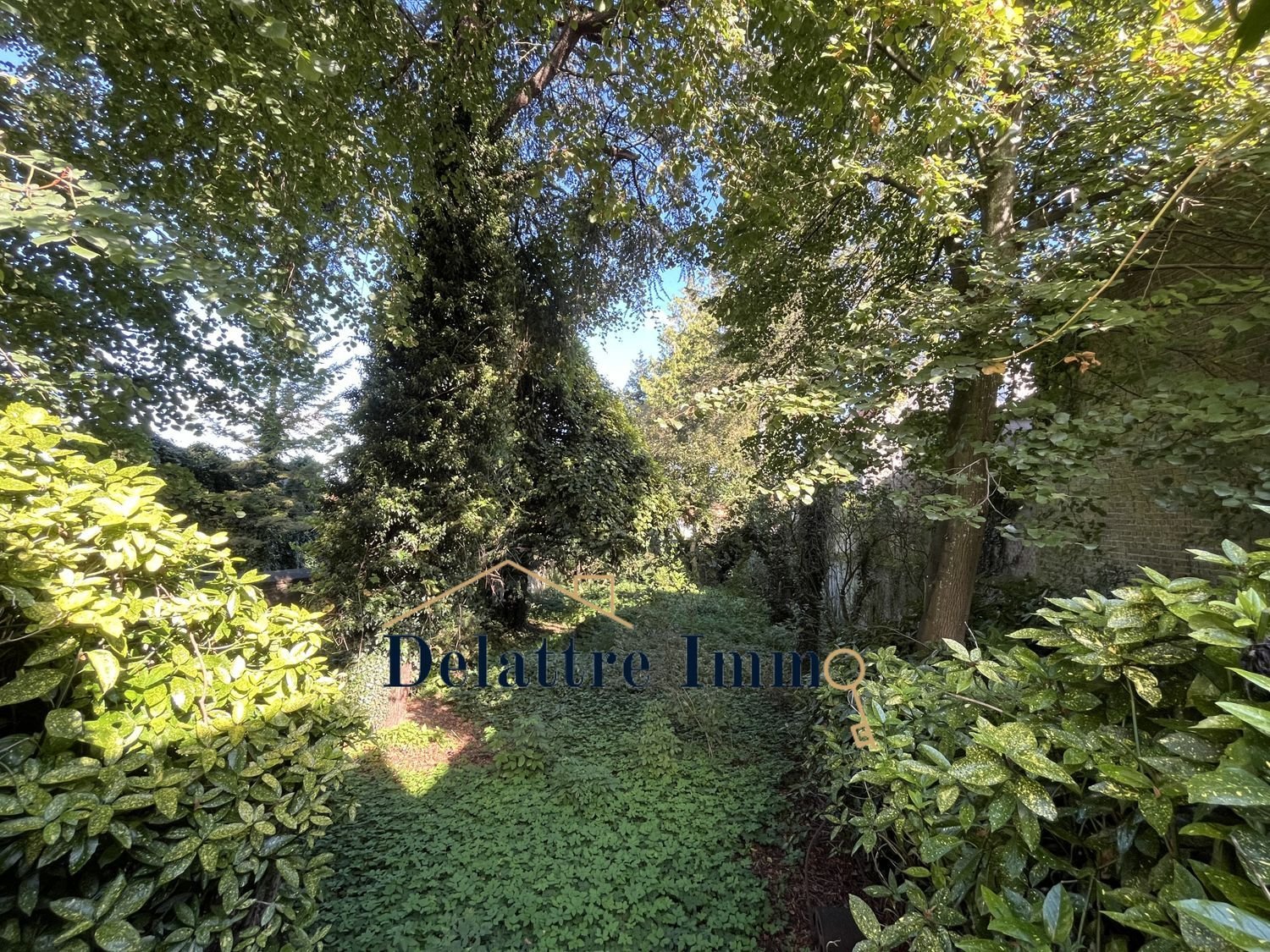 Maison à vendre, 460m², Desvres