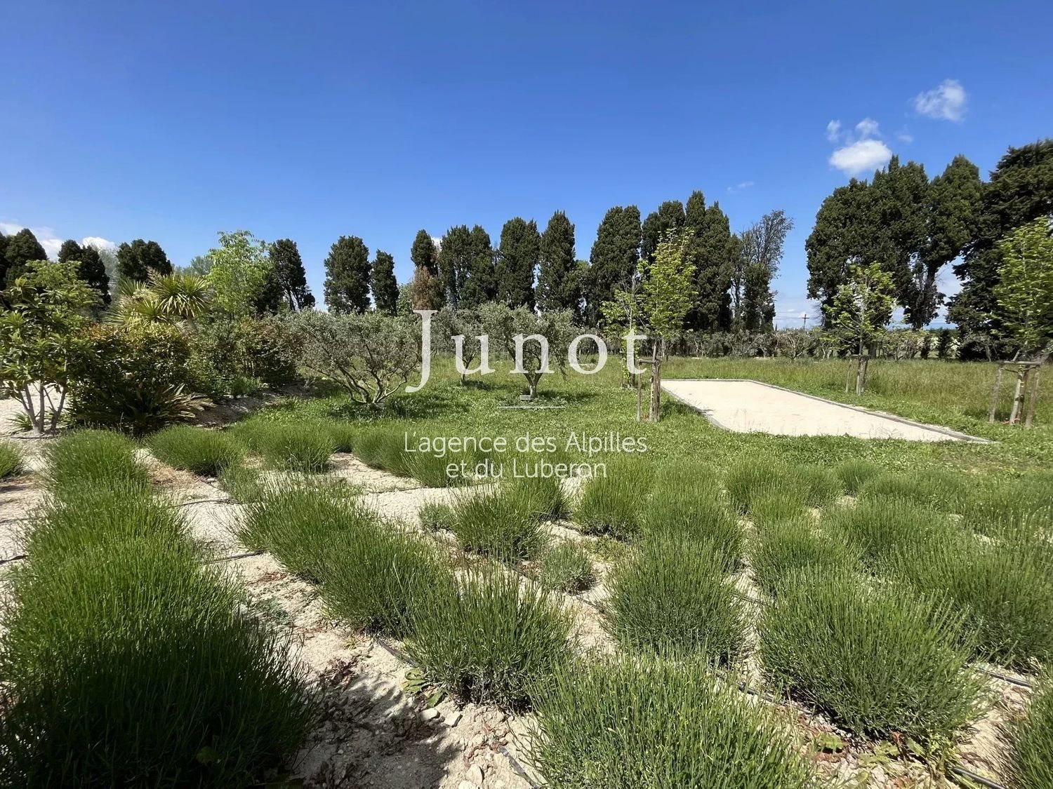 Maison à louer, 400m², Saint-Rémy-de-Provence