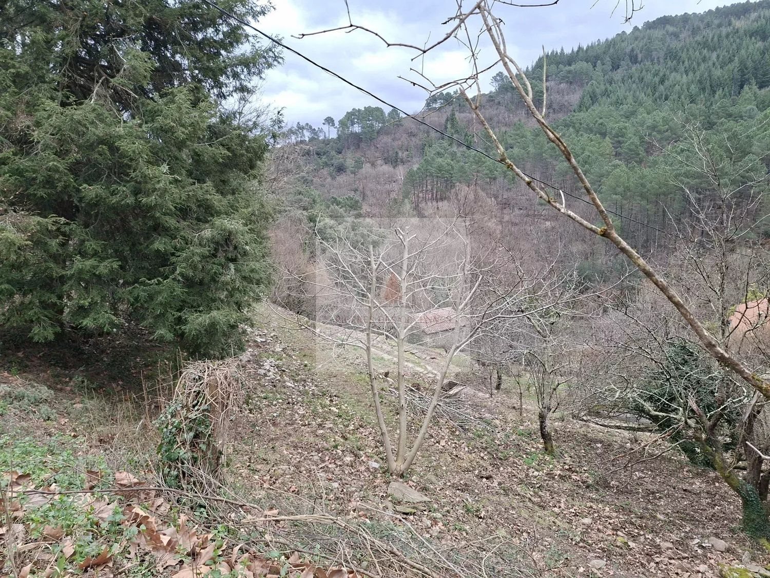 Maison à vendre, 150m², Le Collet-de-Dèze