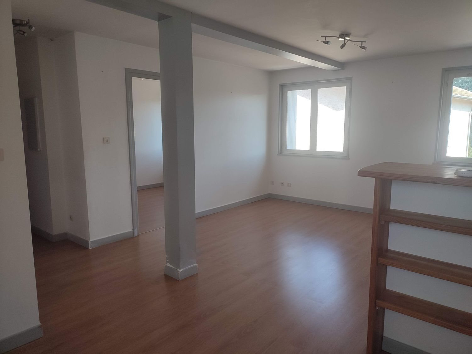 Appartement à louer, 42m², Panissières