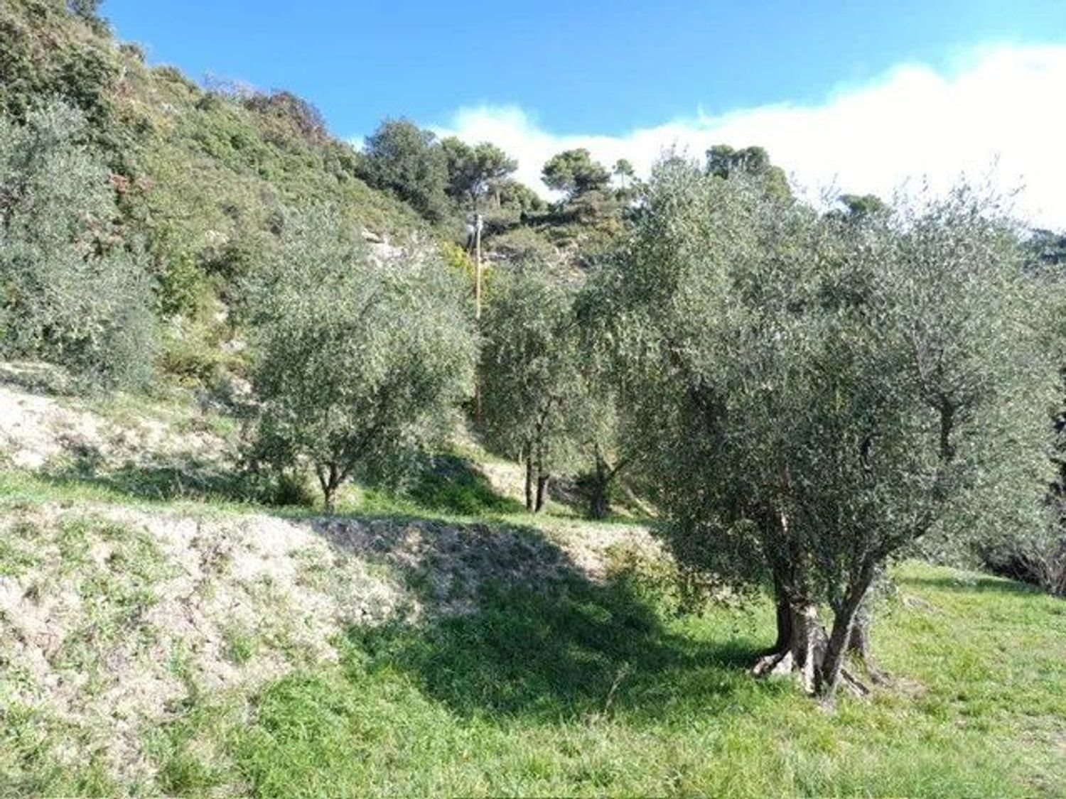 Maison à vendre, 54m², L'Escarène