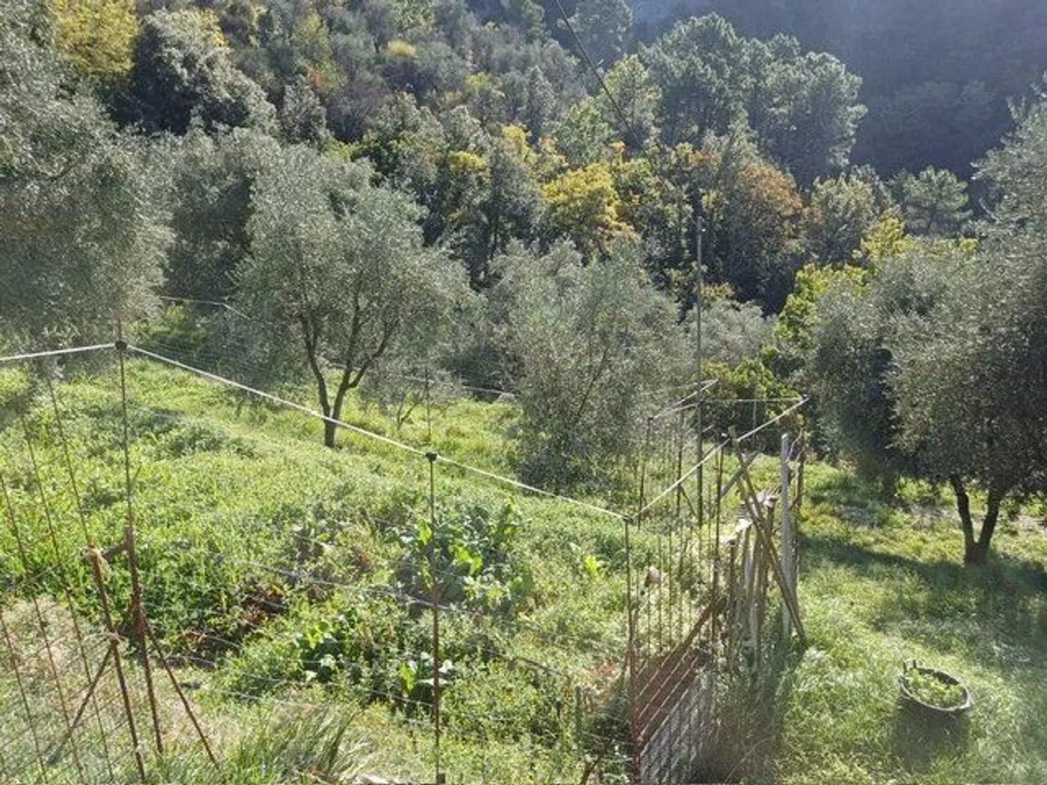 Maison à vendre, 54m², L'Escarène