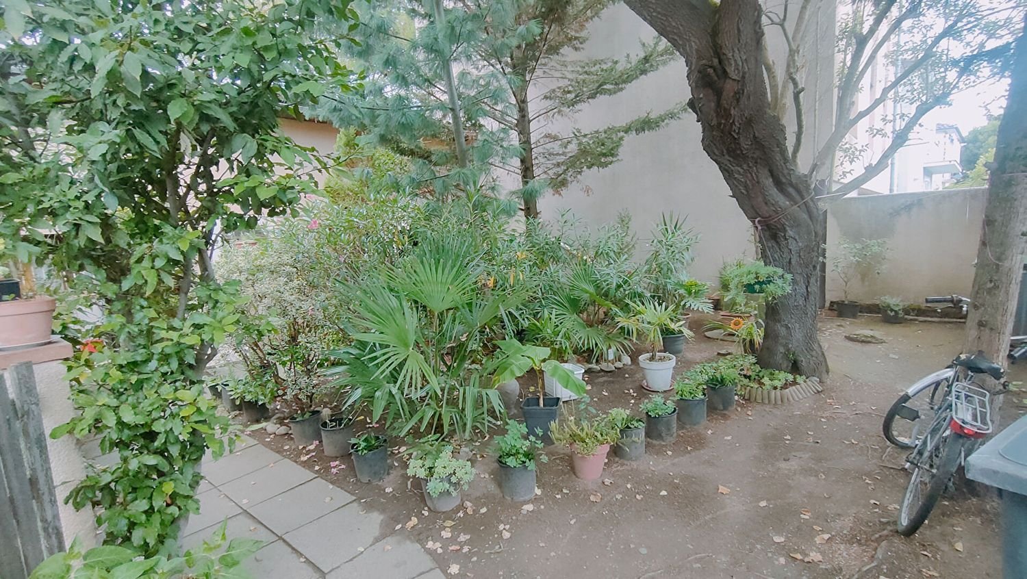 Appartement à louer, 21m², Toulouse