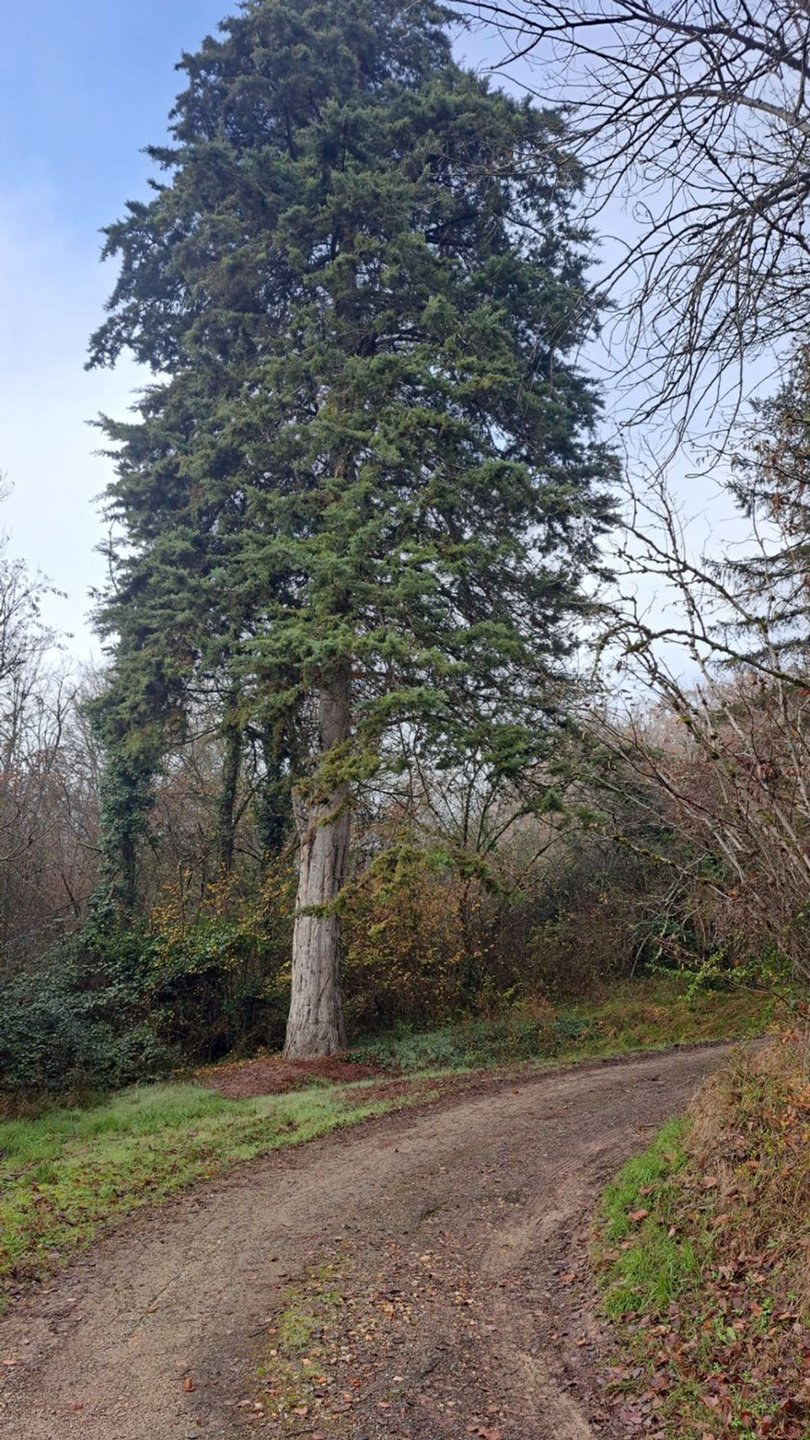 Maison à vendre, 70m², Lafitte