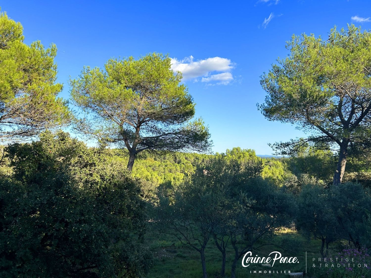 Maison à vendre, 138m², Nîmes