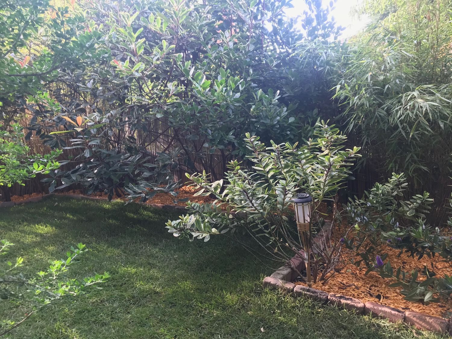 Appartement à vendre, 70m², Le Plessis-Robinson