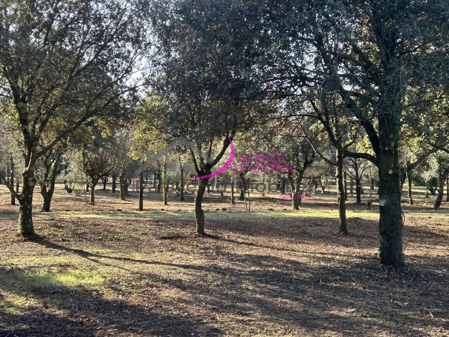Maison à vendre, 150m², Loriol-du-Comtat