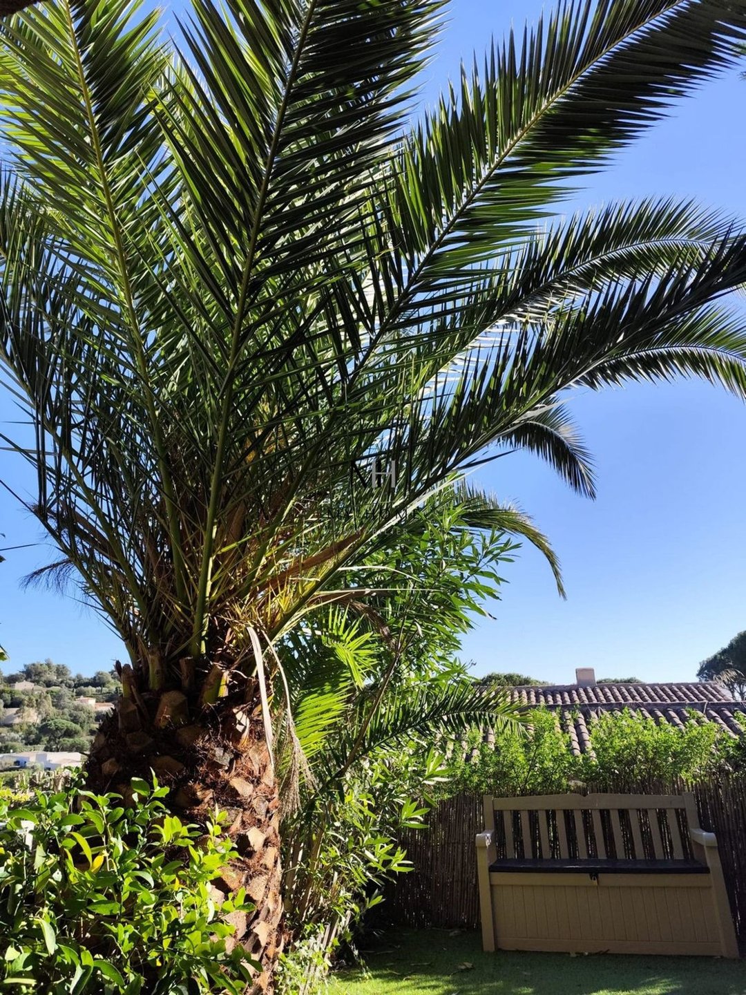 Appartement à vendre, 14m², Sainte-Maxime