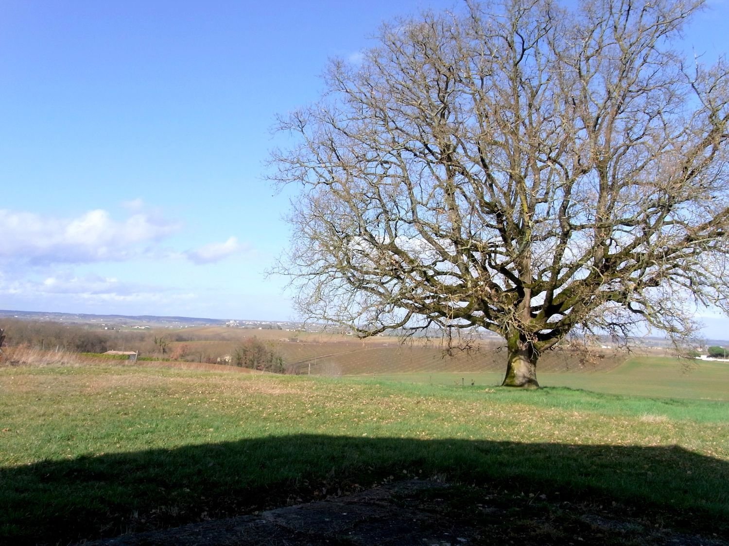 Maison à vendre, 101m², Marmande